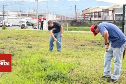 Presos trabajen chapeando